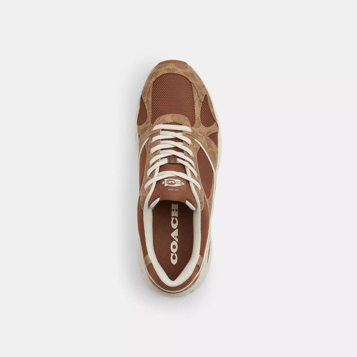 Coach Outlet Sport Sneaker In Signature Canvas