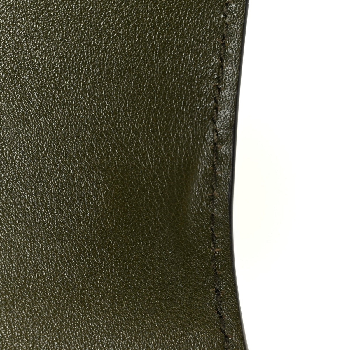 Shiny Polished Calfskin Medium Bamboo Luscious Green